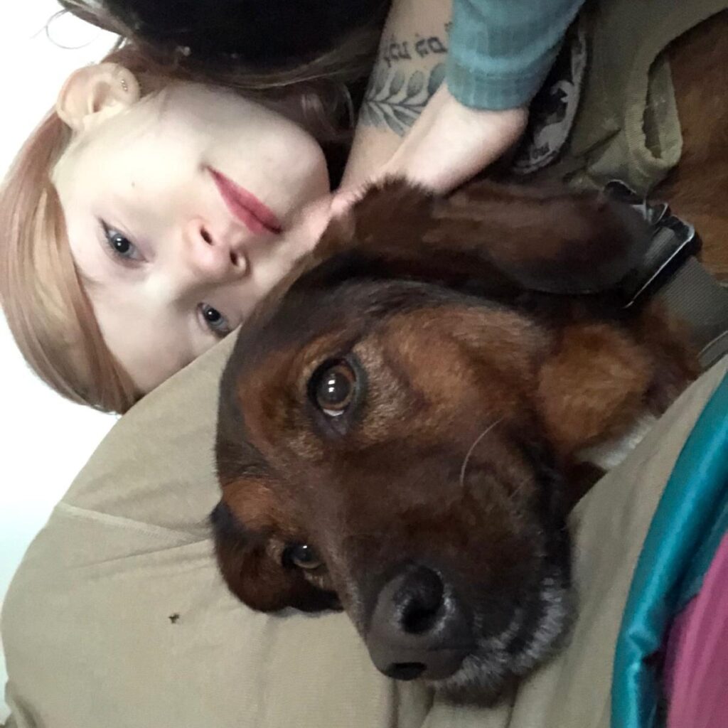 Stella – adopted