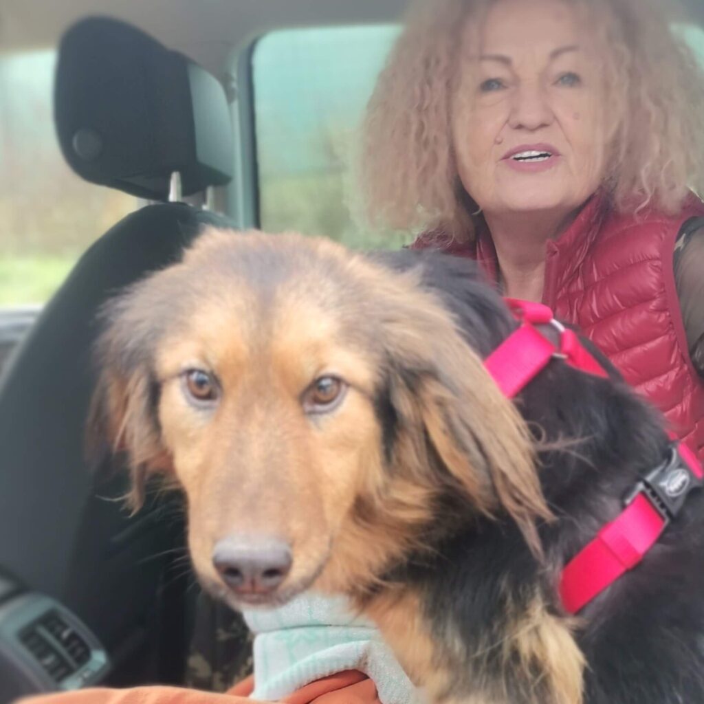 Gia – adopted