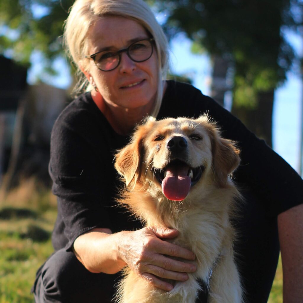 Goldie – adopted