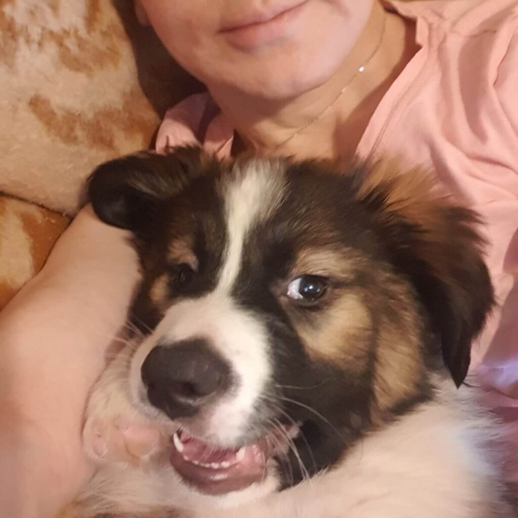 Rambo II – adopted