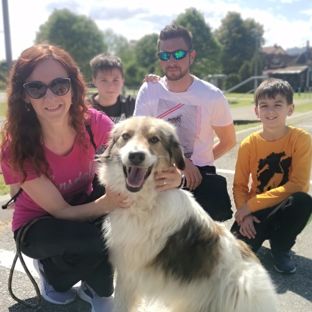 Merlin – adopted