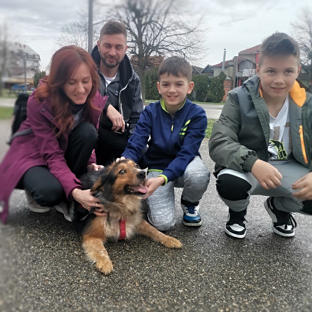 Lela – adopted