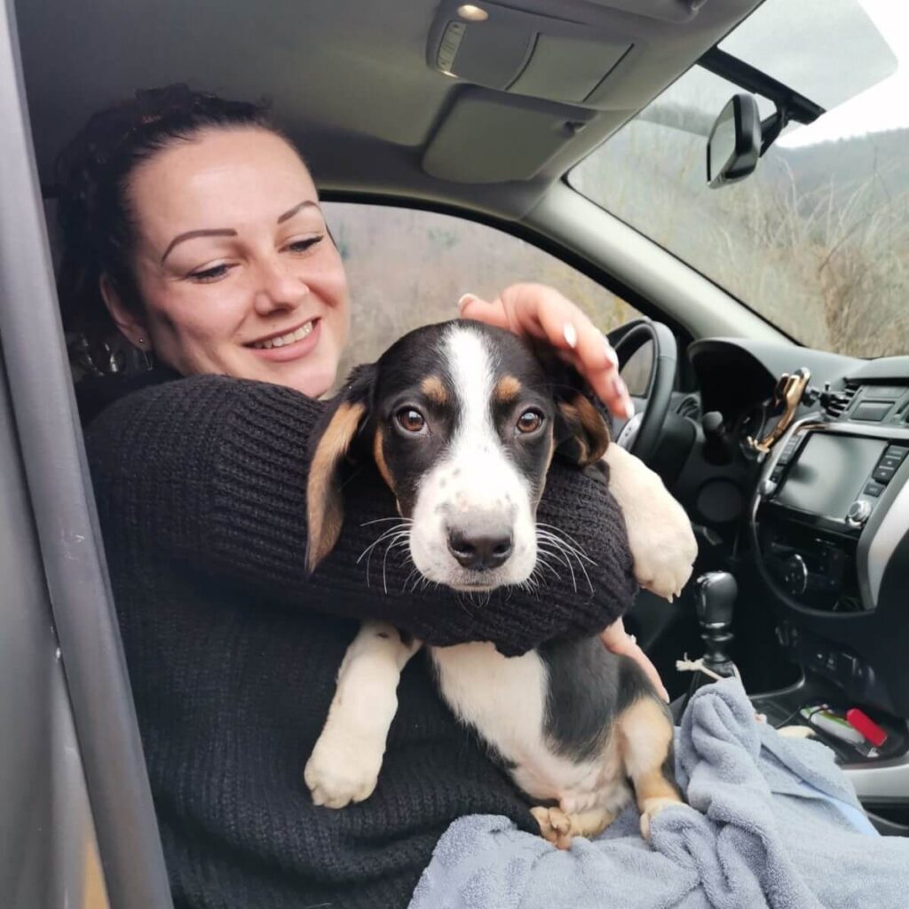 Zan – adopted