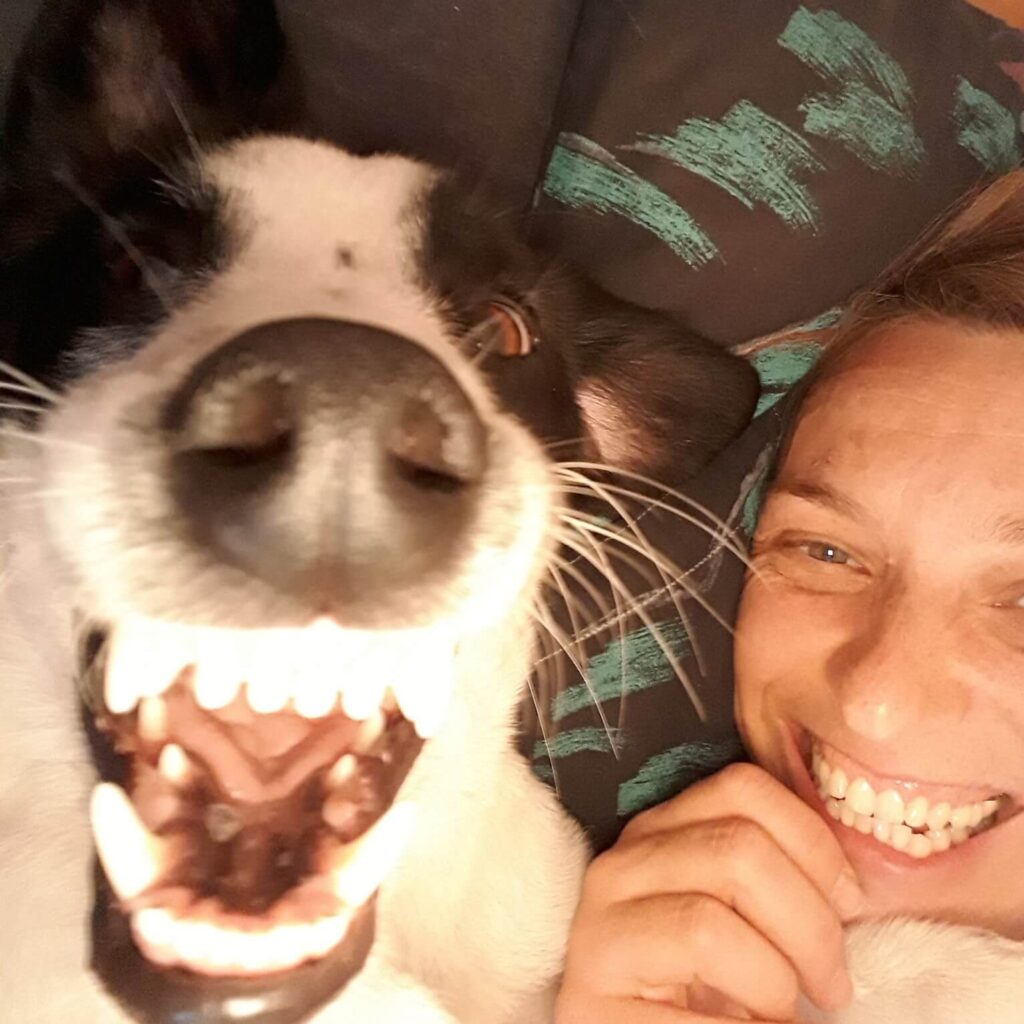 Jackie – adopted