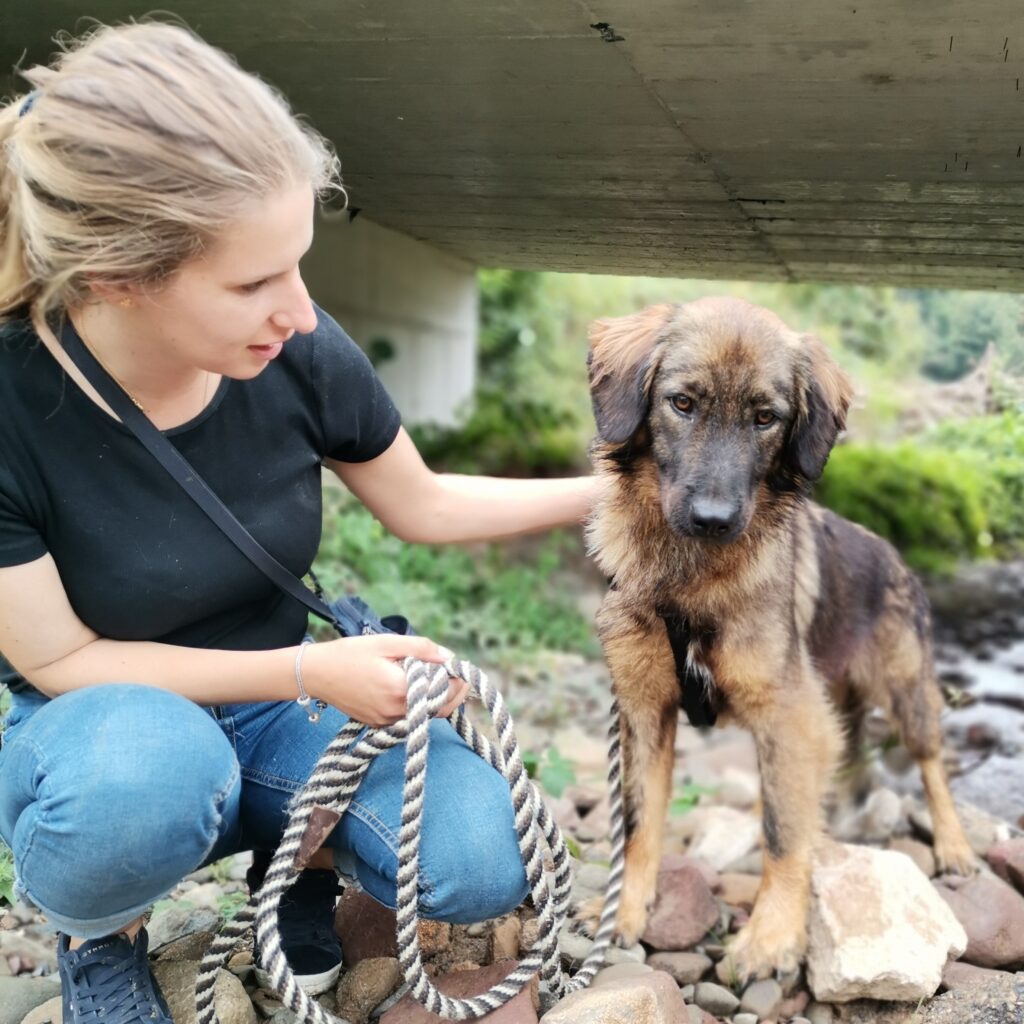Ruby – adopted