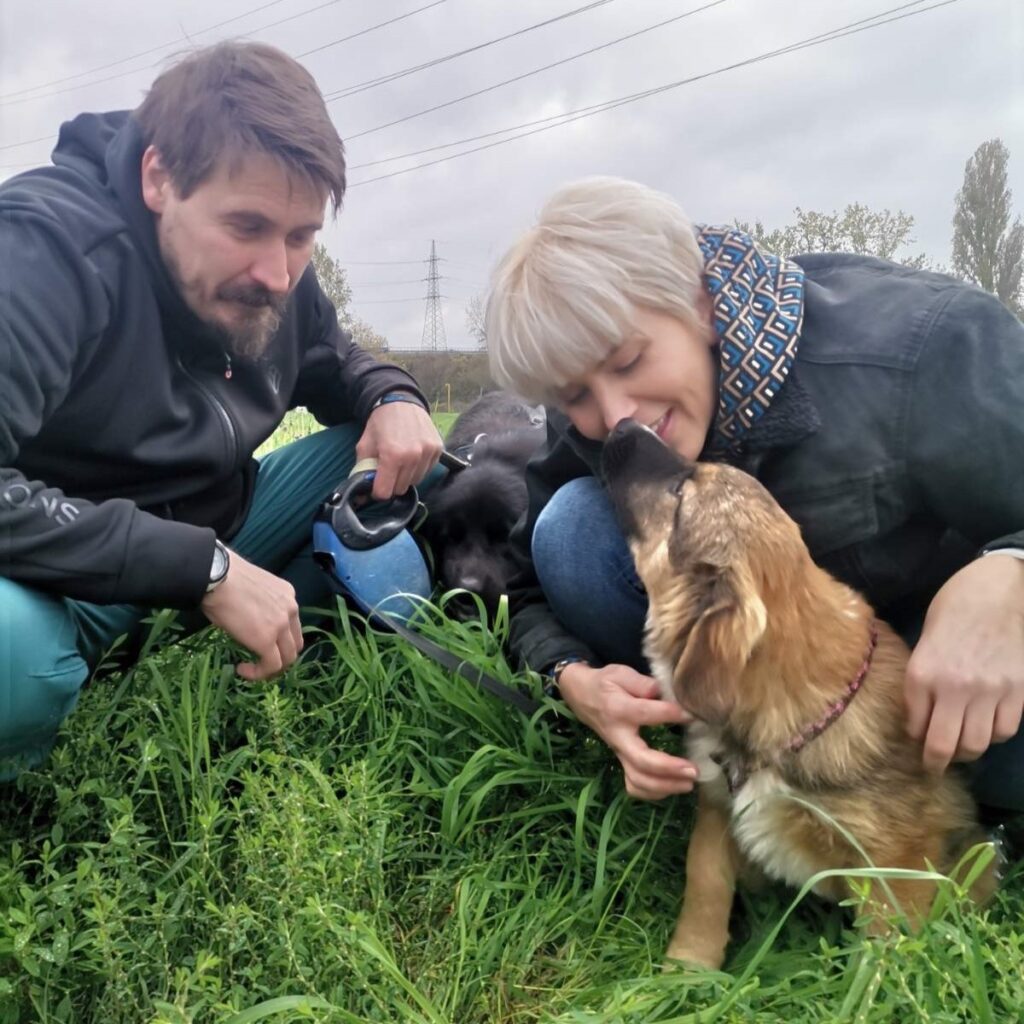 Teddy – adopted