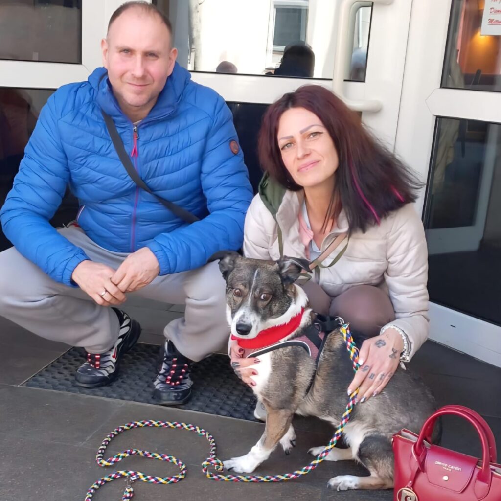 Honey – adopted