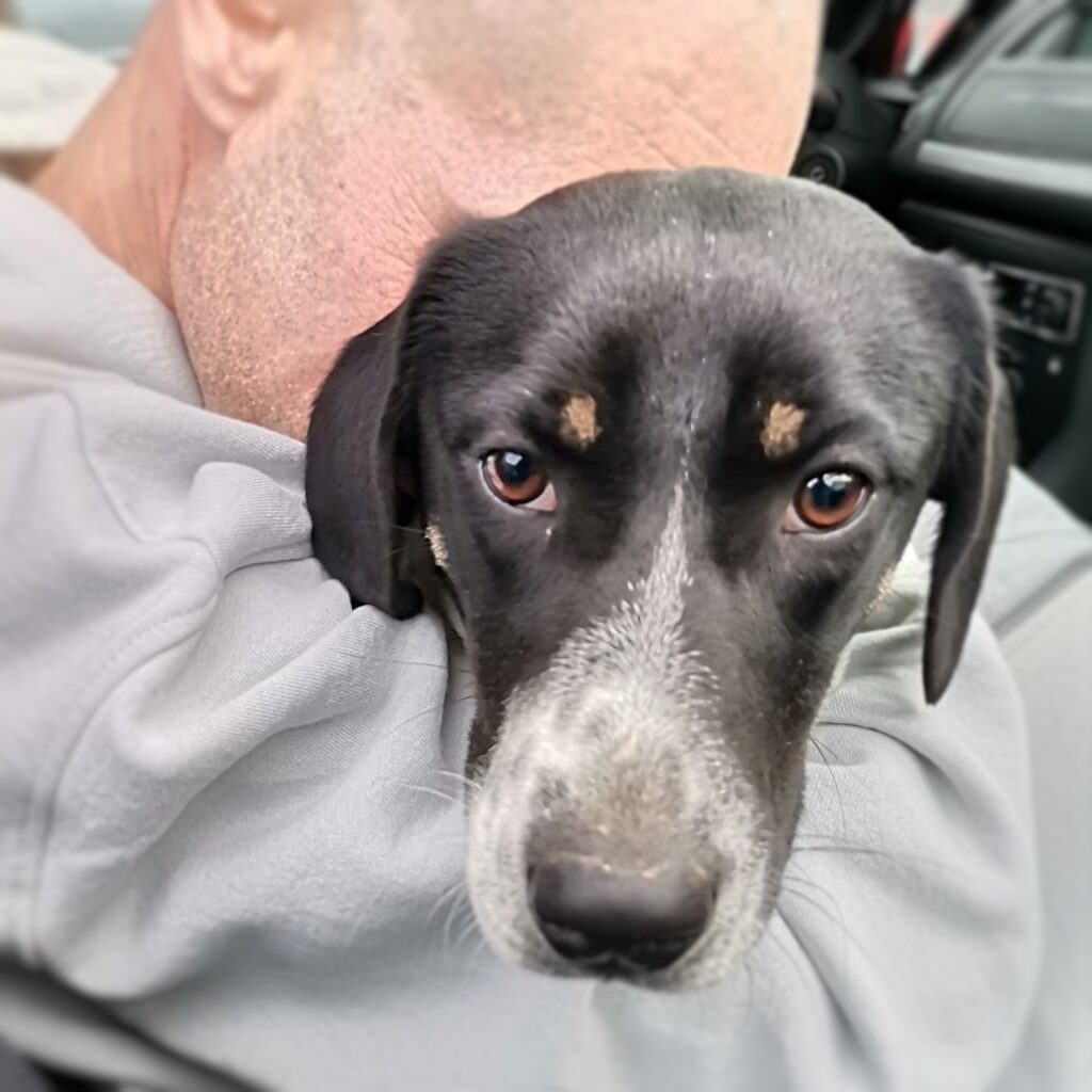 Mia – adopted