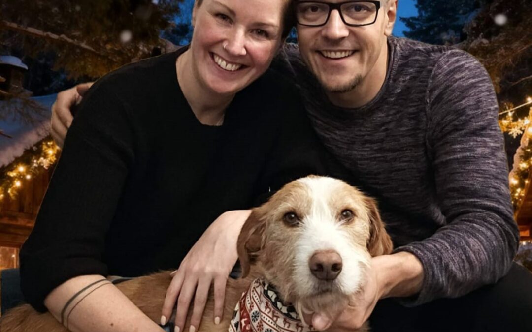 Alfie - Adopted Dogs