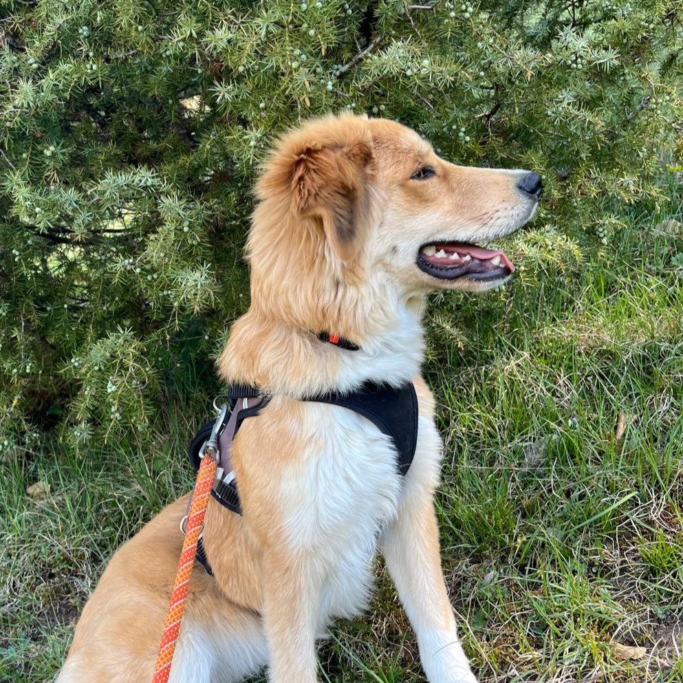 Lucy