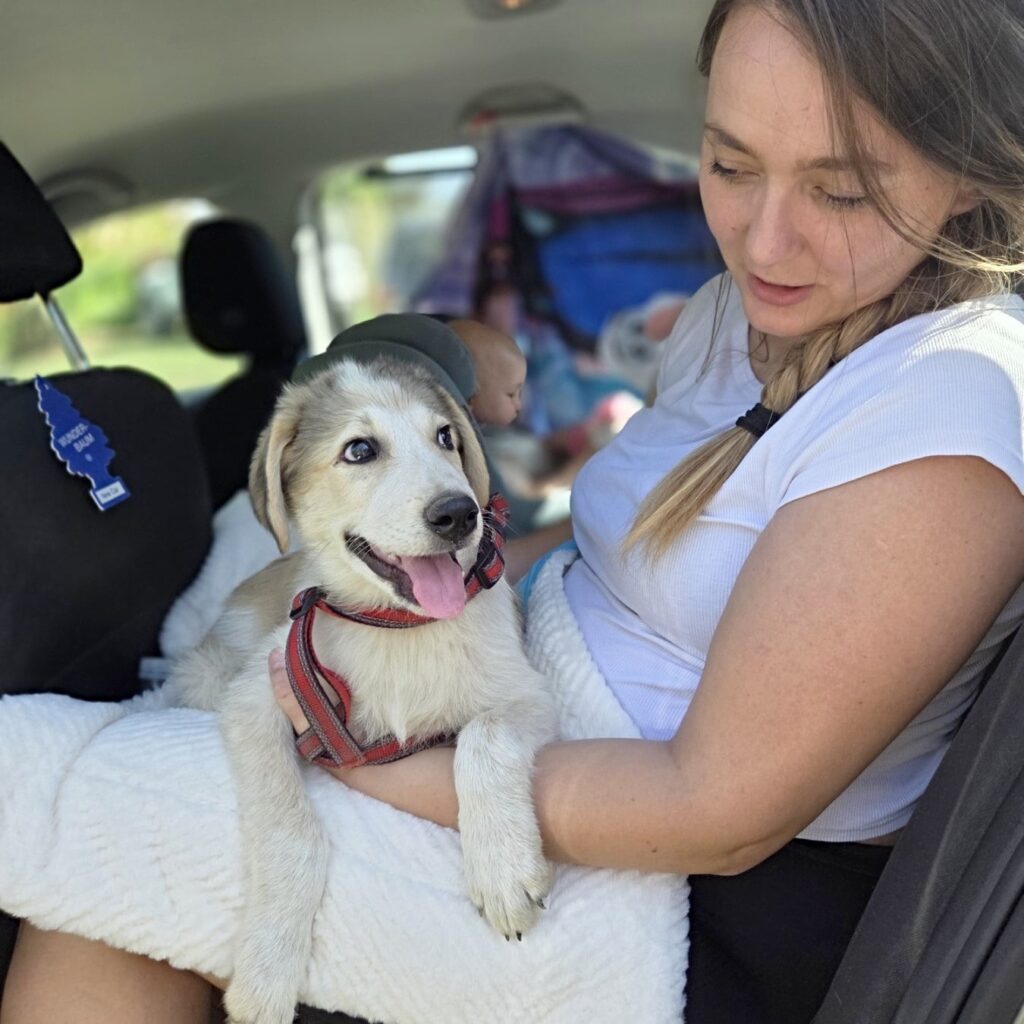 King – adopted