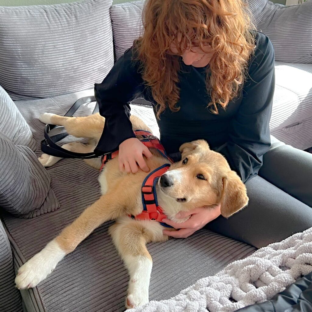 Teddy - Dallas – adopted
