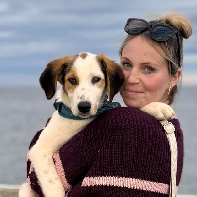 Mellow - Willow – adopted