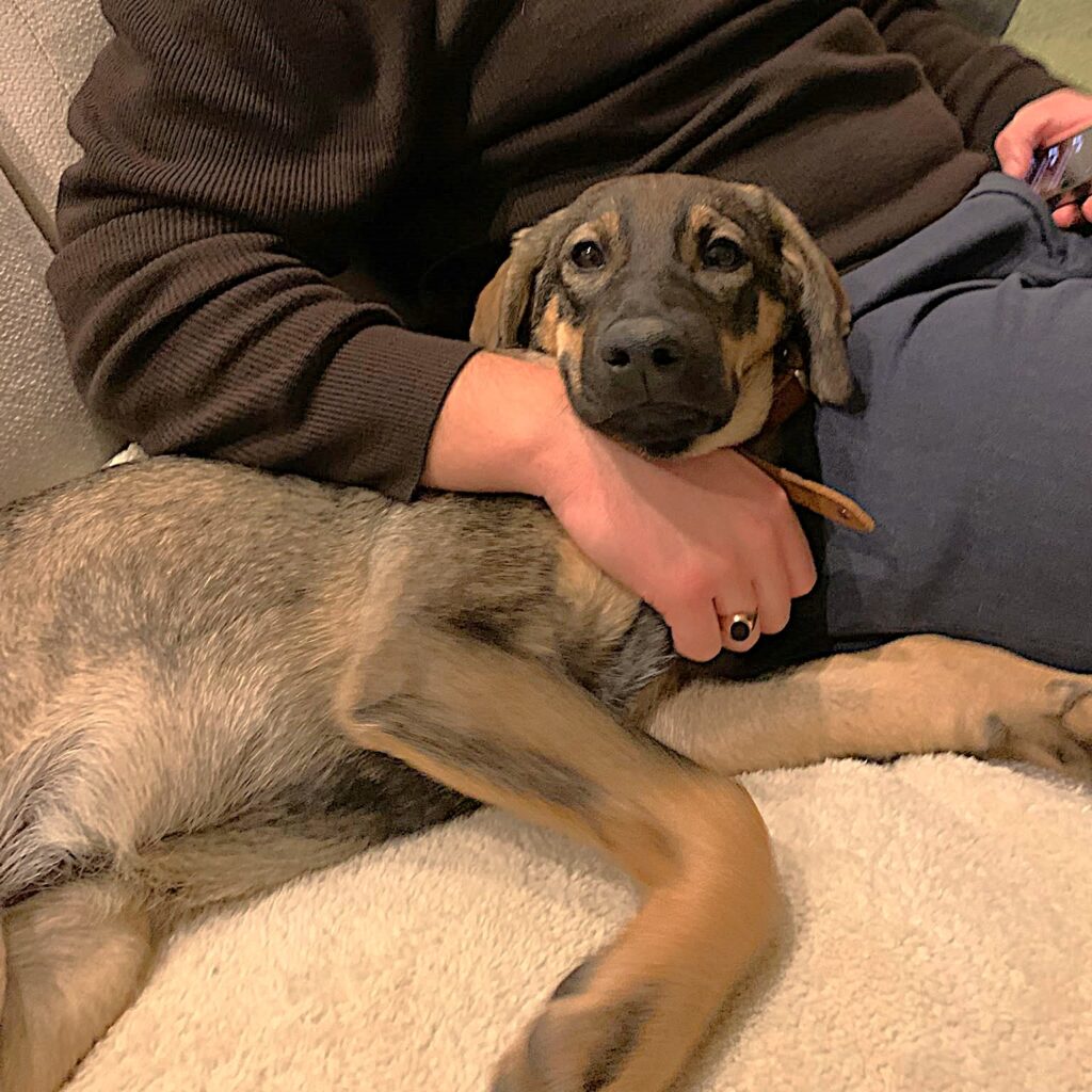 Neva – adopted