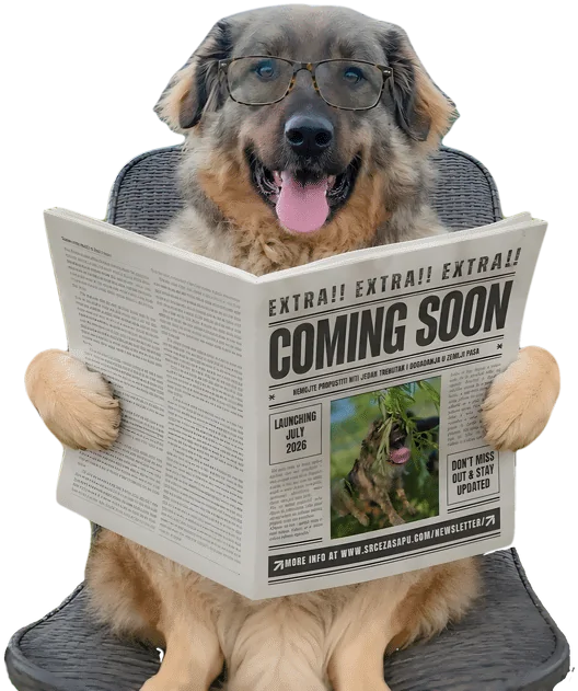 Charlie, Chief Editor of Charlie's Zeitung